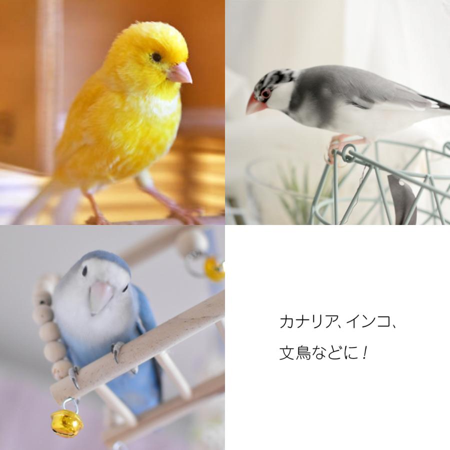 カナリア@即購入可ページ カナリアシード 100g カナリーシード インコ 小鳥 ダイエット フード