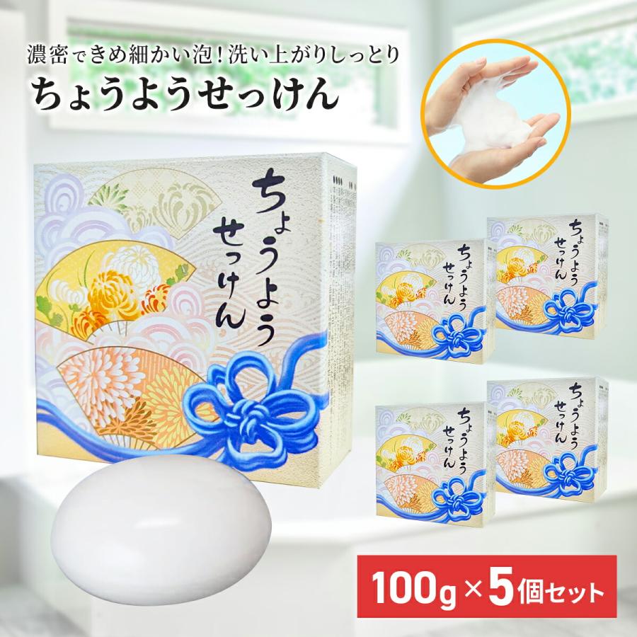 ちょうようせっけん 100g×5個セット 洗顔石鹸 洗顔石けん ソープ