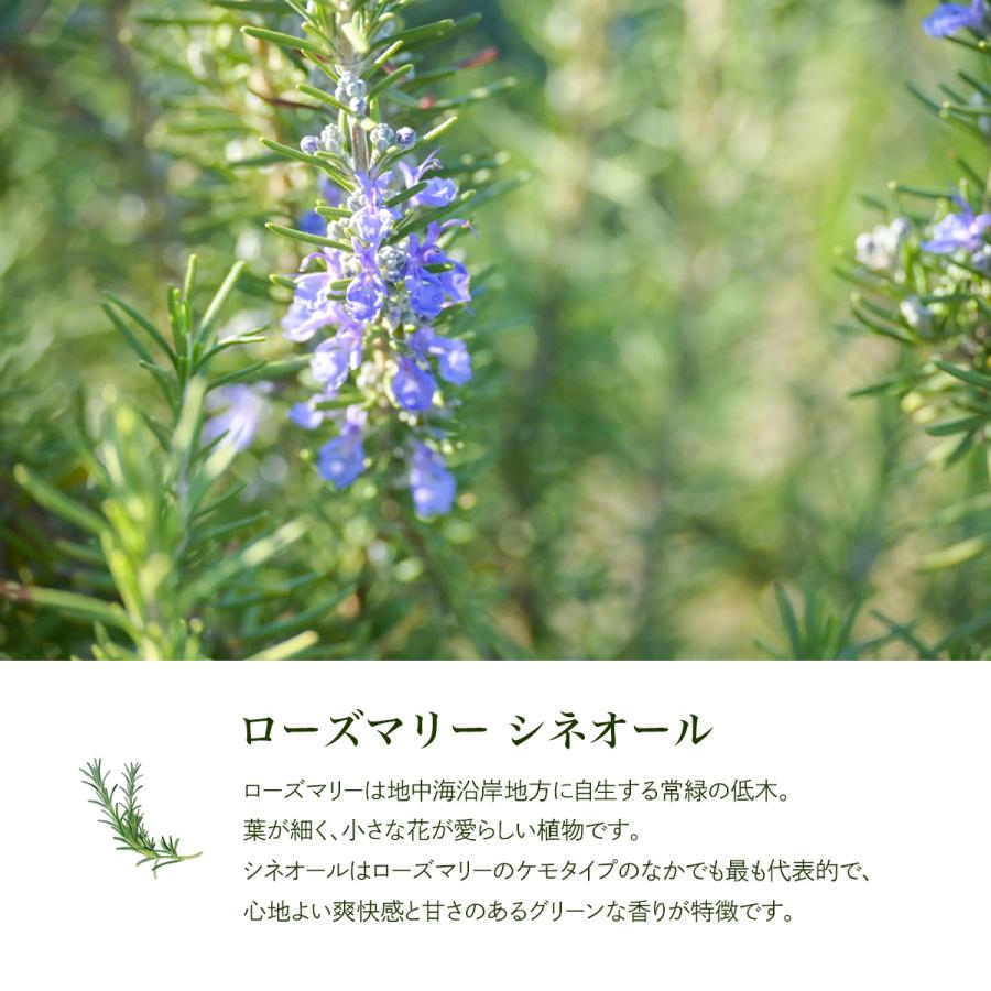 ローズマリー シネオール 10ml 精油 エッセンシャルオイル アロマ