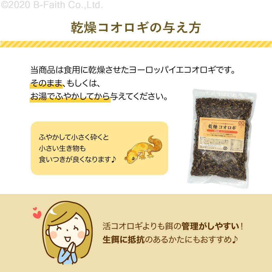 賞味期限間近（2025/5/30）特価販売】乾燥 コオロギ 600g (約6000匹
