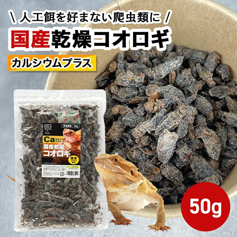 大容量⭐︎国産養殖 乾燥フタホシコオロギ 1kg ※一時生産中止につき