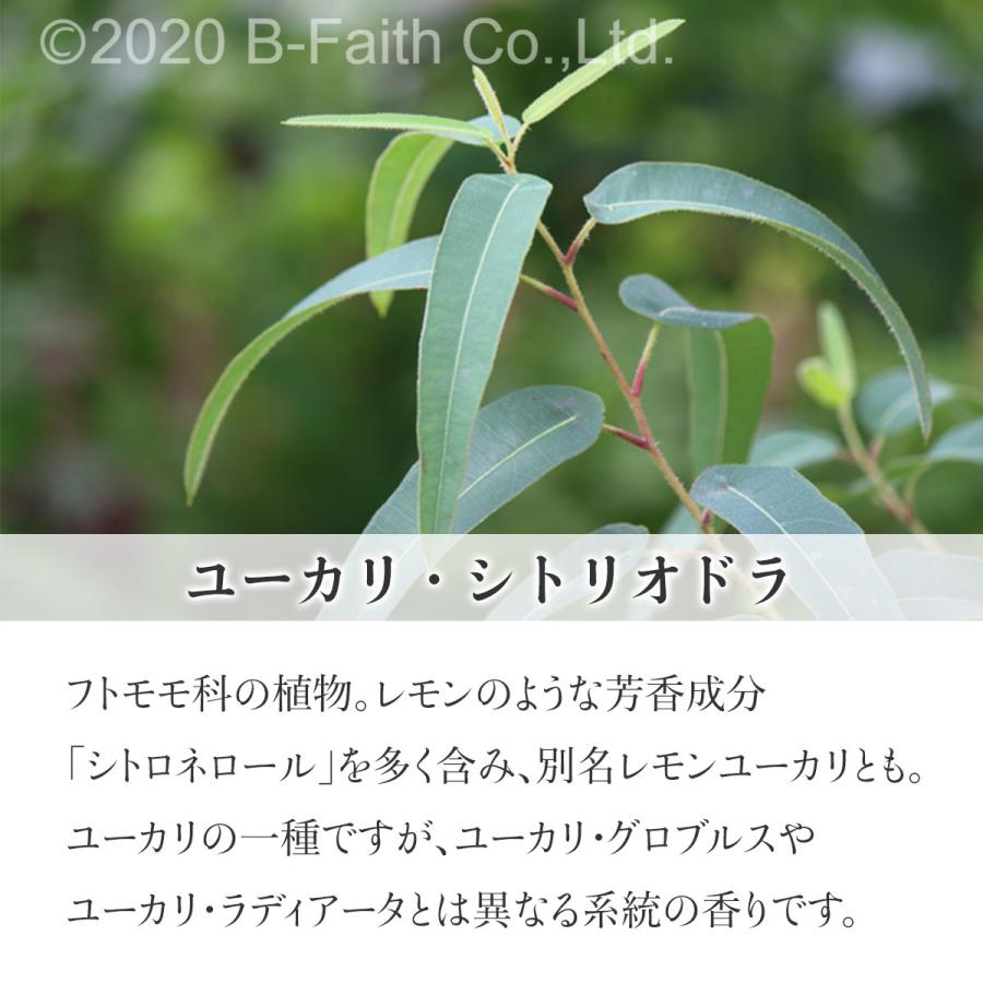 天然100 ユーカリ シトリオドラ オイル 0ml アロマ 精油 エッセンシャルオイル アロマオイル ユーカリレモン アロマセラピー アロマテラピー Eucalyptuscitriodora0 雑貨イズム 通販 Yahoo ショッピング