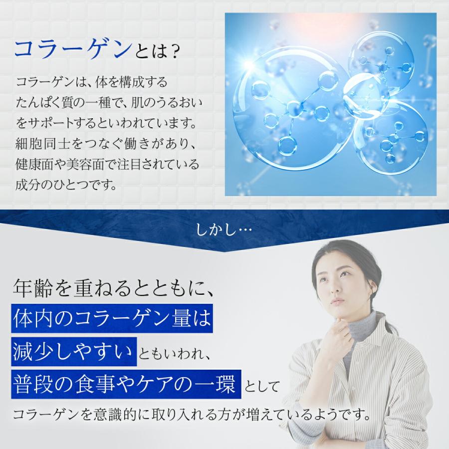 賞味期限2026年3月31日】特別価格 フィッシュコラーゲン 100g ペプチド