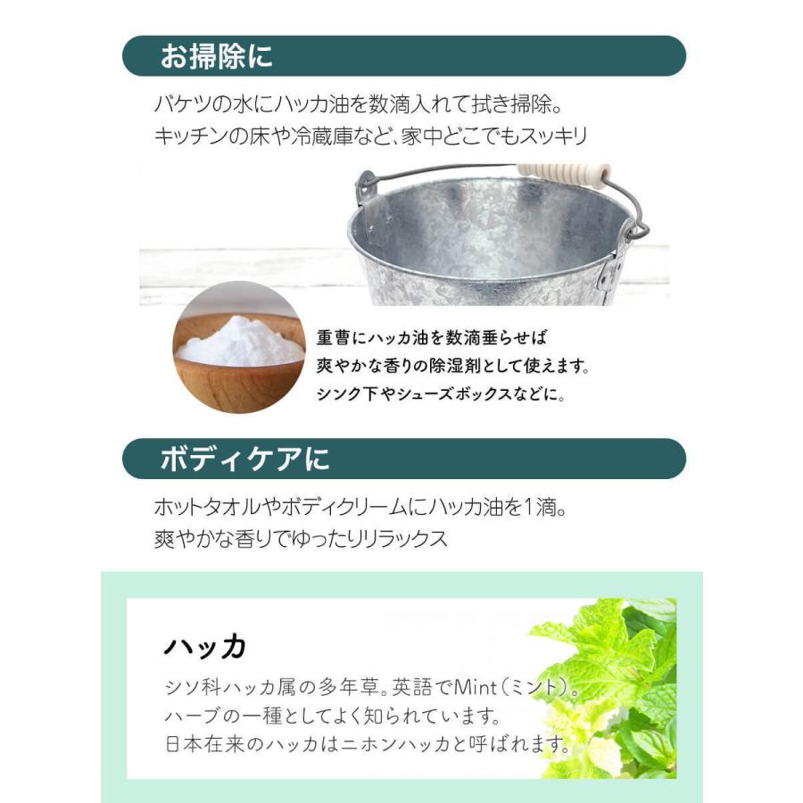 384円 全国総量無料で 日本製 天然ハッカ油 ハッカオイル 精油 ml 3本 中栓付き アロマオイル マスク 入浴剤 虫よけスプレー ゴキブリ コウモリ 対策に