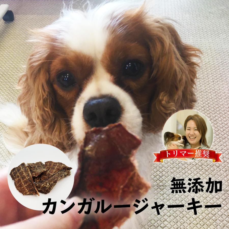 無添加 国産 カンガルージャーキー 30g 犬 おやつ Kangaroojerky30 雑貨イズム 通販 Yahoo ショッピング