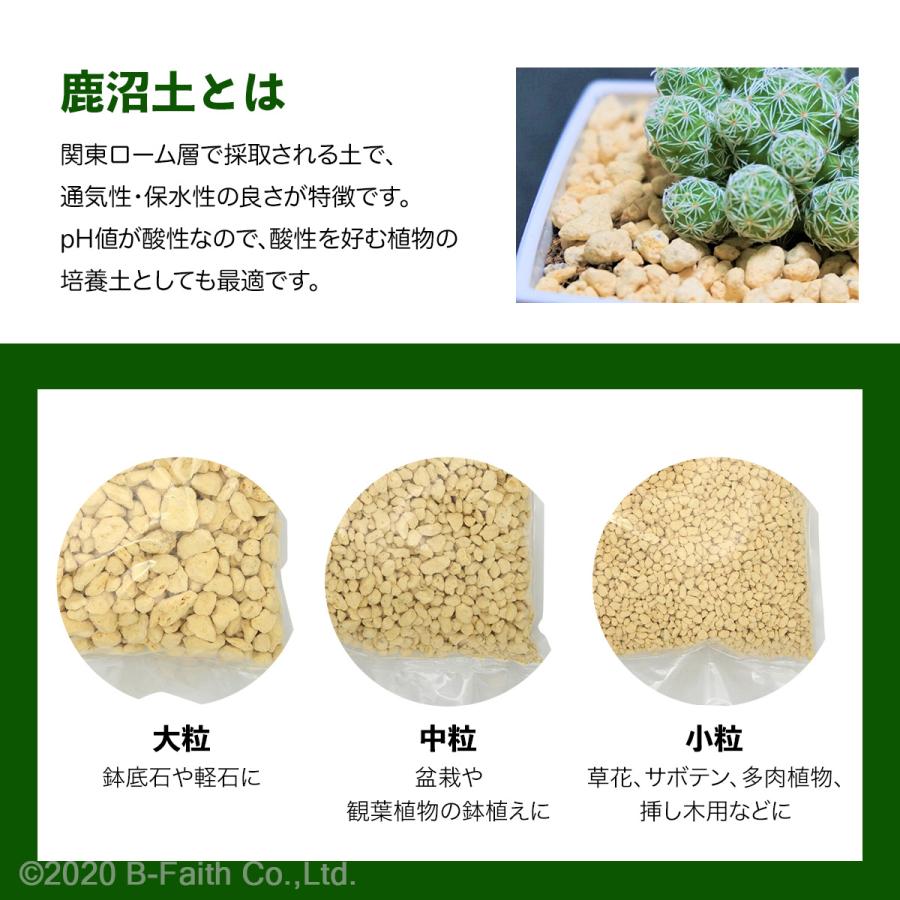 国産 高品質 硬質 鹿沼土 中粒 4L（2L×2個） 約5mm ~ 10mm 基本土