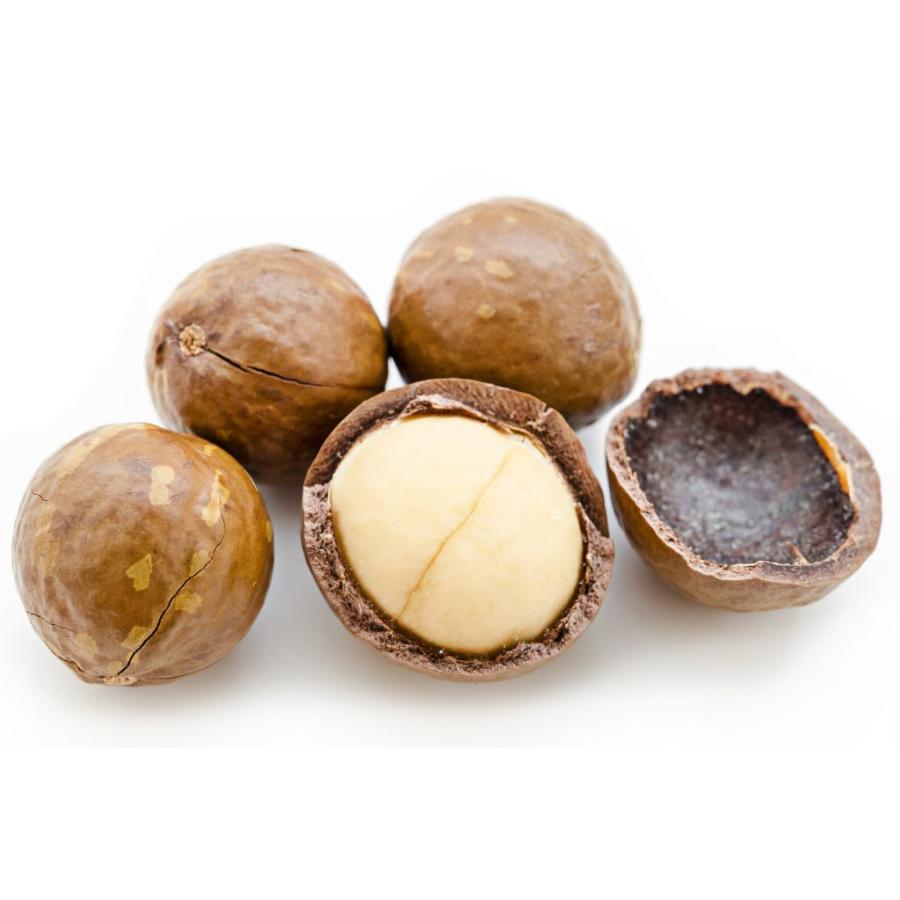 殻付き マカデミアナッツ 454g 3個セット マカダミアナッツ ロースト