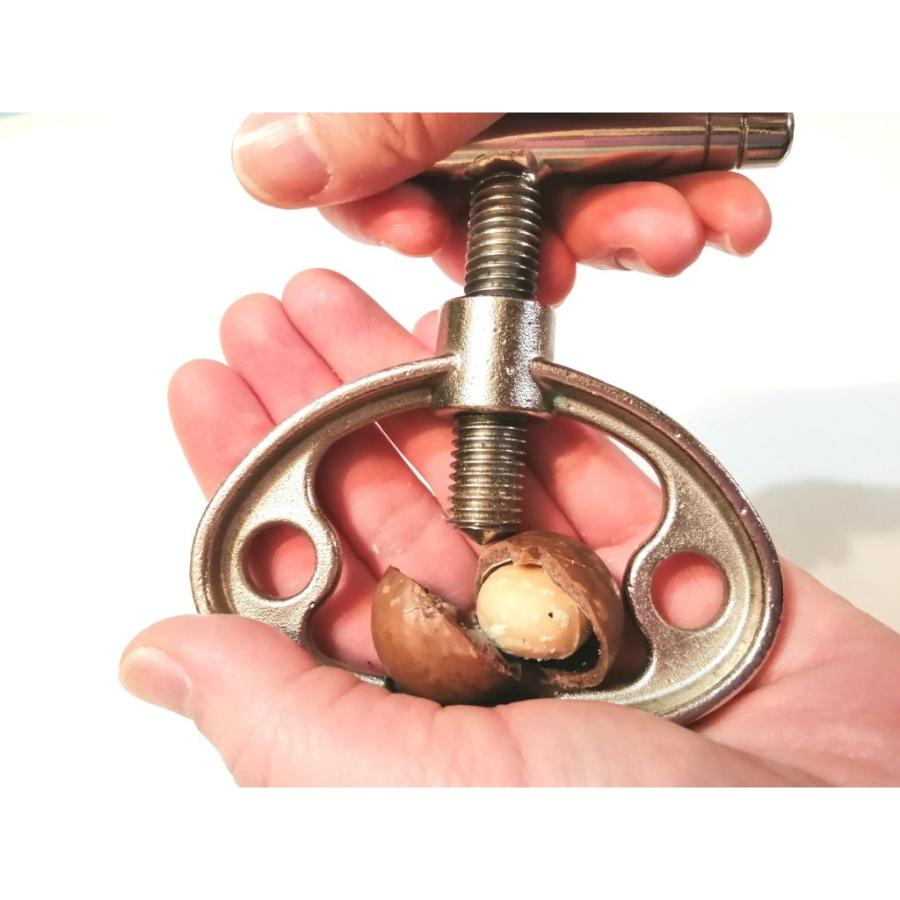 殻付き マカデミアナッツ 454g 5個セット マカダミアナッツ ロースト 二ダフジャパン 無添加 無塩 オーストラリア産 殻付き マカデミアナッツ 454g 5個セット マカダミアナッツ ロースト