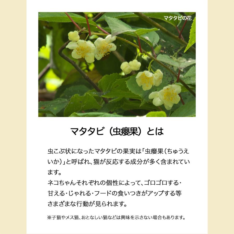 またたび 粉 5g 4本セット 粉末 ふりかけ マタタビ 日本製 虫えい果 ちゅうえいか 100 純粉末 猫 ネコ おやつ ねこ Matatabi5 4 雑貨イズム 通販 Yahoo ショッピング