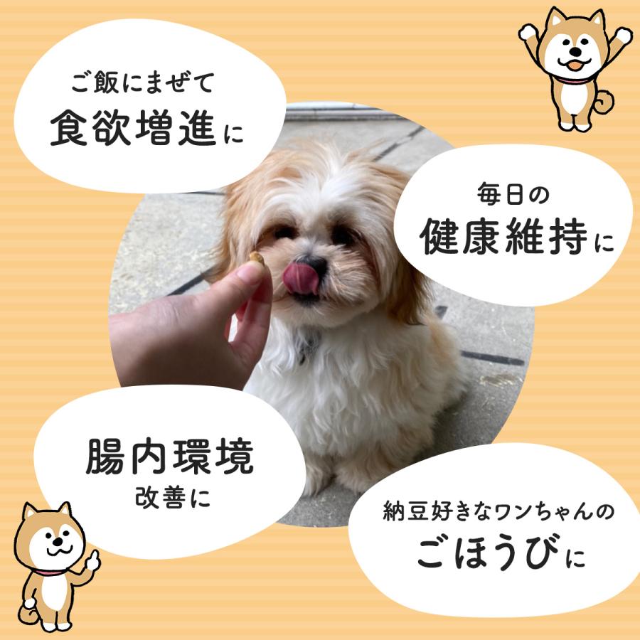 フリーズドライ 納豆 犬 50g 2個 犬用 日本製 ドッグフード 無添加 おやつ ペット フード 餌 エサ 国産大豆使用 : 雑貨イズム ...