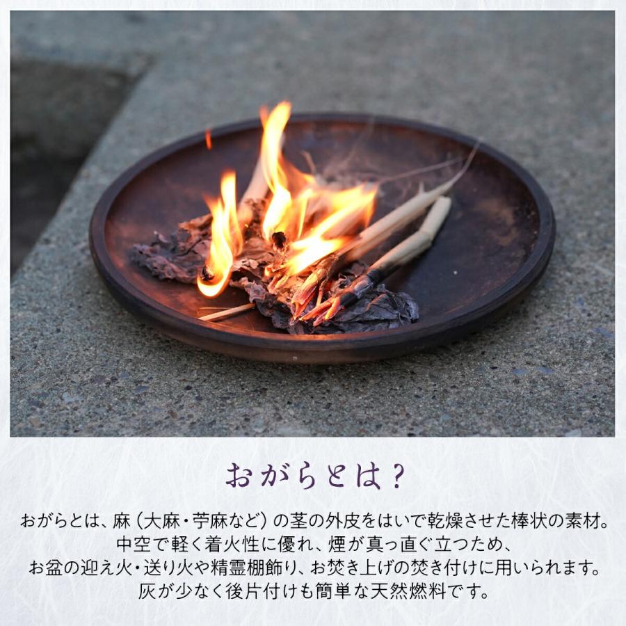 おがら 迎え火 送り火 お盆 お盆飾り 約18cm 20本 麻がら 初盆 新盆用