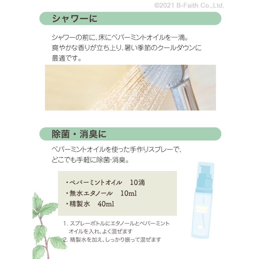 ペパーミント エッセンシャルオイル 100ml ペパーミント 100ml インセント エッセンシャルオイル 精油