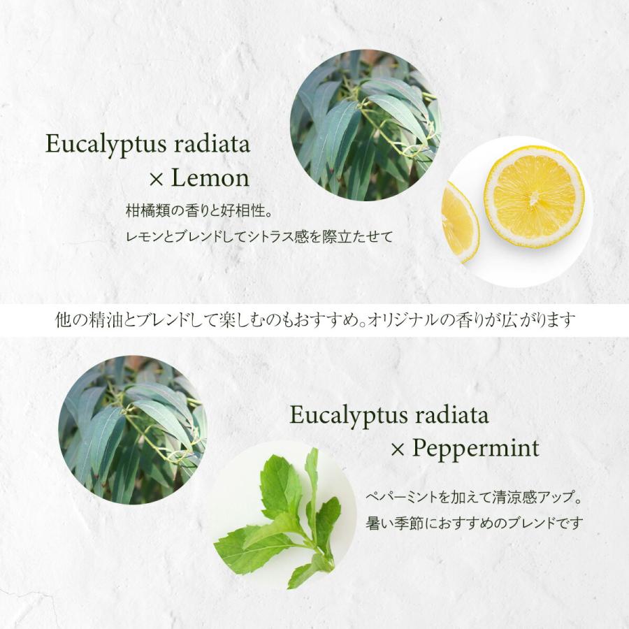 ユーカリラディアータ 精油 30ml エッセンシャルオイル アロマ アロマ