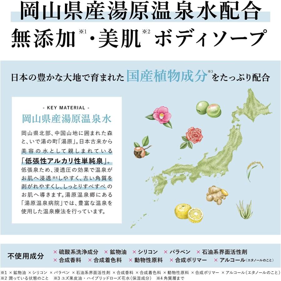 リンレン 凛恋 ボディ ソープ ミント & レモン 300ml 詰め替え