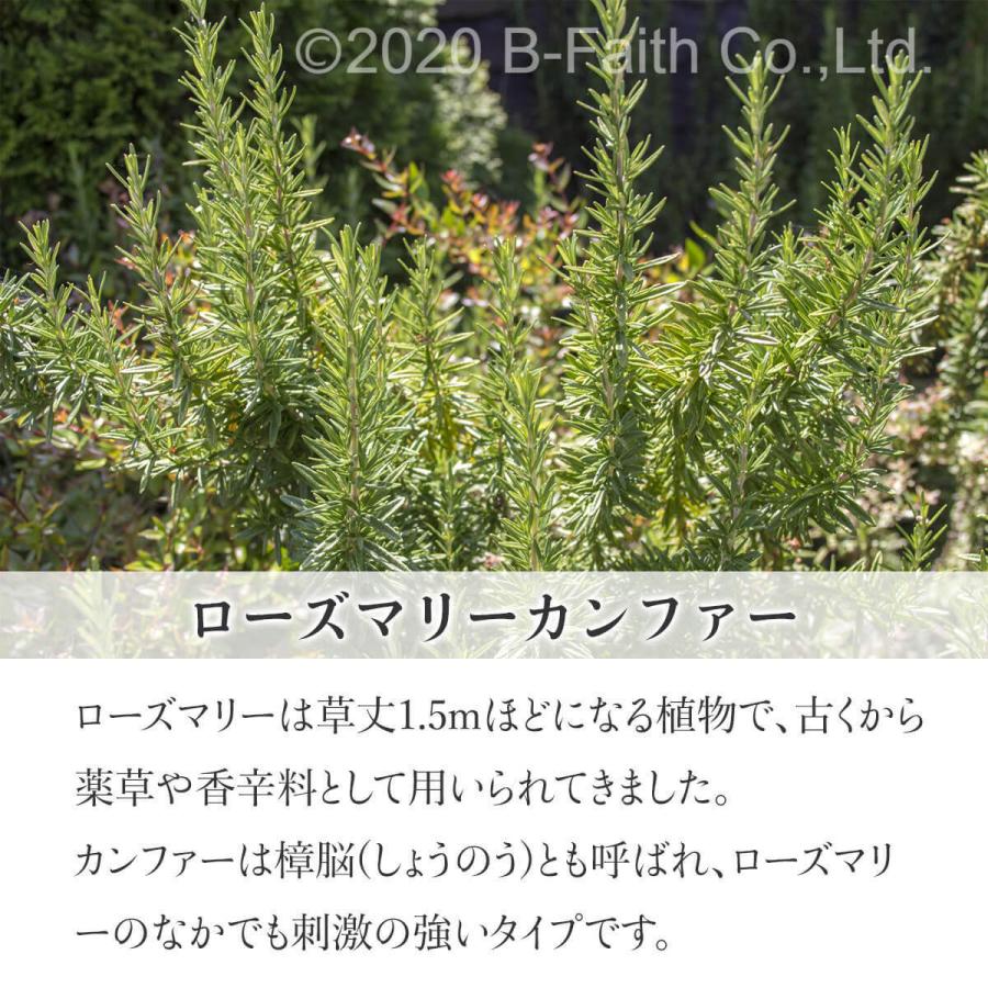 ローズマリー エッセンシャルオイル 100ml エッセンシャルオイル ローズマリー | 無印良品