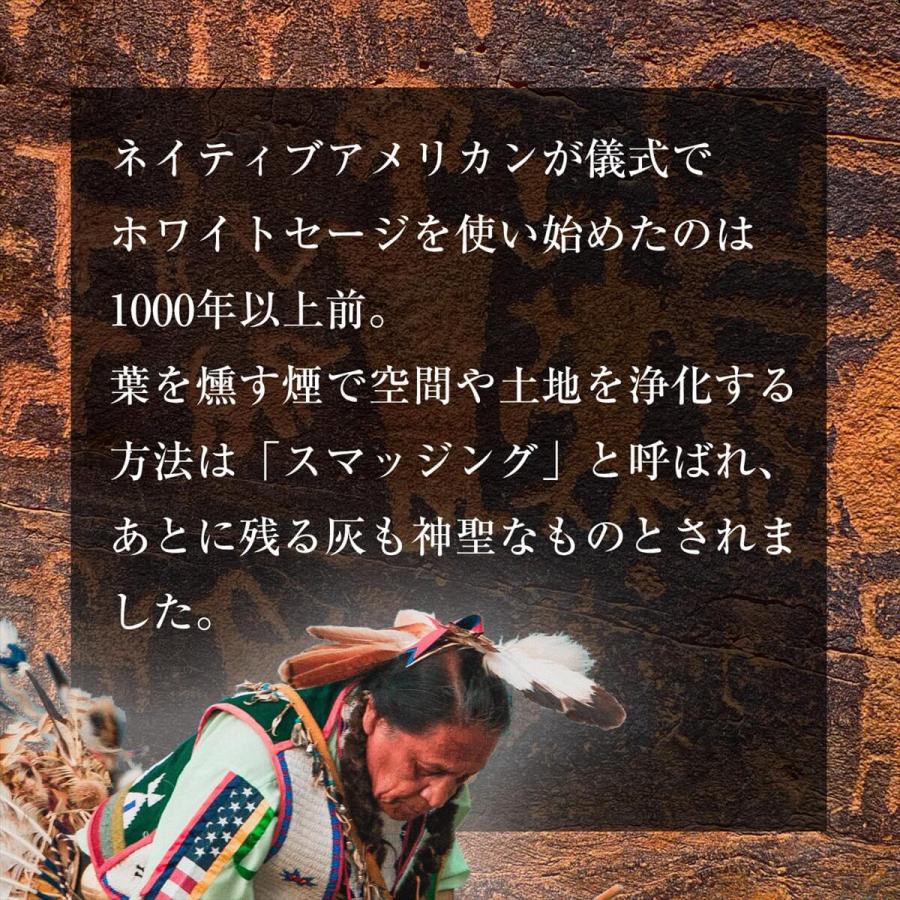 ホワイトセージ 浄化用 バンドル 5束 150g 無農薬 セージ お香