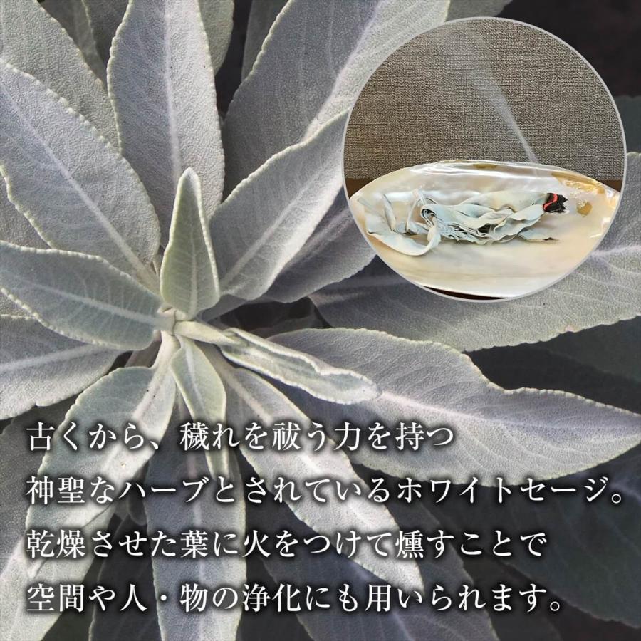ホワイトセージ 浄化用 バンドル 1束 30g 無農薬 セージ お香