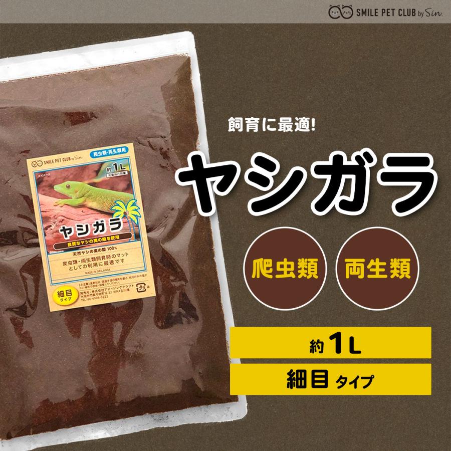 ヤシガラ 土 爬虫類 1L 細目 床材 飼育マット ハスク トカゲ ゲッコー リクガメ カエル 両生類 ヘビ スネーク 保湿 保温 消臭｜b-faith01｜02