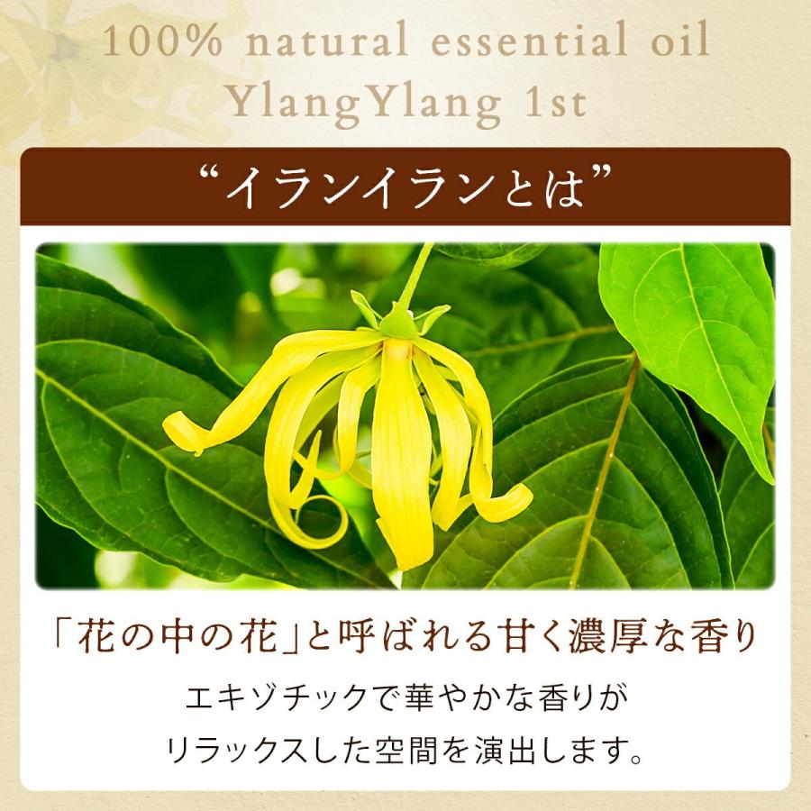 イランイラン 1st ファースト 10ml エッセンシャルオイル 精油 アロマ