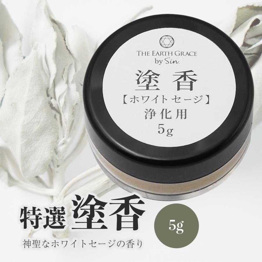 ★未使用に近い★入念洗浄～メンテ済 ★SALOMON ★144㎝ ★綺麗＆良好★ ☆未使用に近い☆入念洗浄～メンテ済 ☆SALOMON ☆144㎝ ☆綺麗