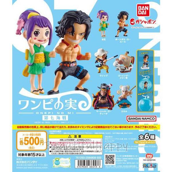 台紙のみ】バラ売り ワンピの実 ディスプレイ台紙 ONE PIECE 第四海戦