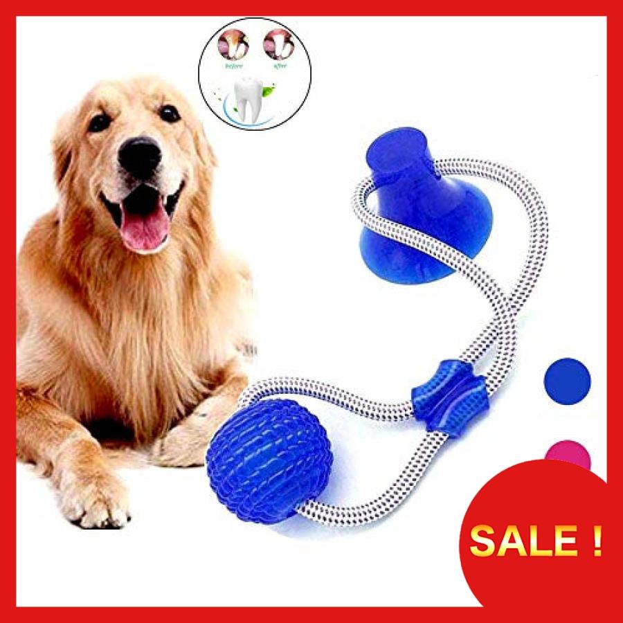 犬 おもちゃ 犬臼歯噛みおもちゃ ペットおもちゃ 臼歯クリーニング ペット 訓練用ボール 訓練ロープ ストレス Ozn Big Store 通販 Yahoo ショッピング