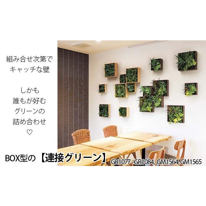 グリーンパネル【GR1080】箱型 外寸法 W37.5XH37.5XD10cmの画像