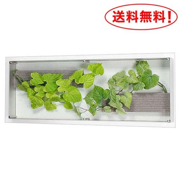 壁掛け観葉グリーン☆フレームレス☆スイートポテトリーフ☆(16157円)