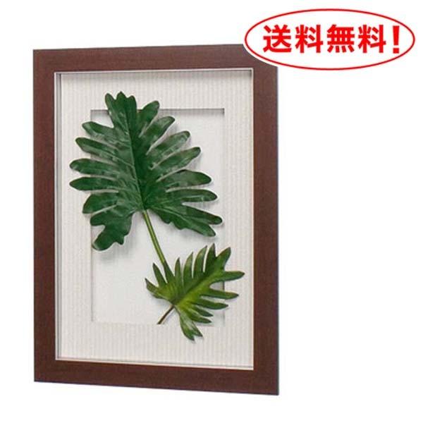 新版 壁掛け観葉グリーン ライトフレームタイプ セローム 上質で快適 Puddlesandsun Co Uk