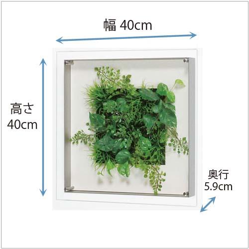 アクリル 4点止め パネル 造花グリーン W40XH40XD6.7cm : ハイベル