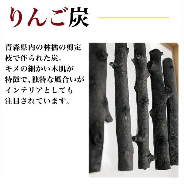 炭アート/フレーム/りんご炭【IN3475】W60XH30XD4cm : ハイベル 