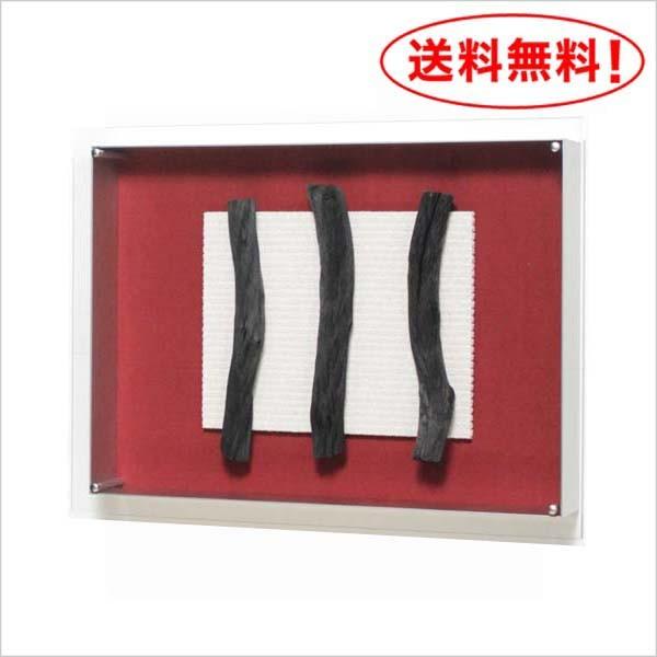 魅了 炭アート パネル 備長炭 In3595 W60xh45xd9 6cm 数量は多 Www Kslcity Com My