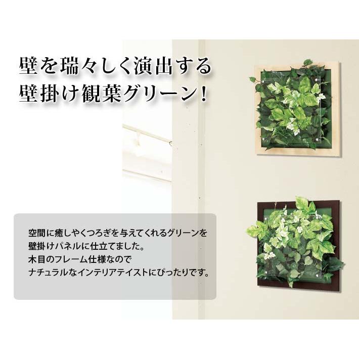 フェイクグリーン ウォール グリーン 40X40cm 2種の画像