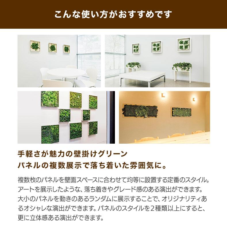 フェイクグリーン ウォール グリーン 40X40cm 2種の画像