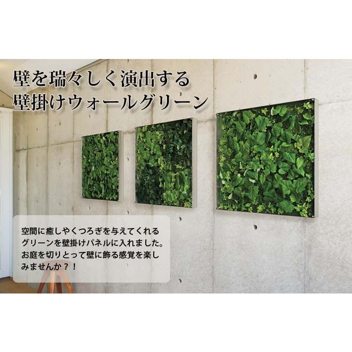 フェイクグリーン ウォール グリーン GR3562 W45XH45XD6.6cmの画像