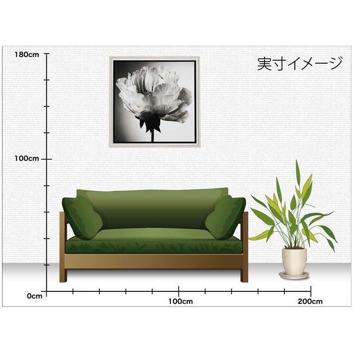 写真家 池田邦彦 スタイリッシュフラワー11 額付 フォトポスター