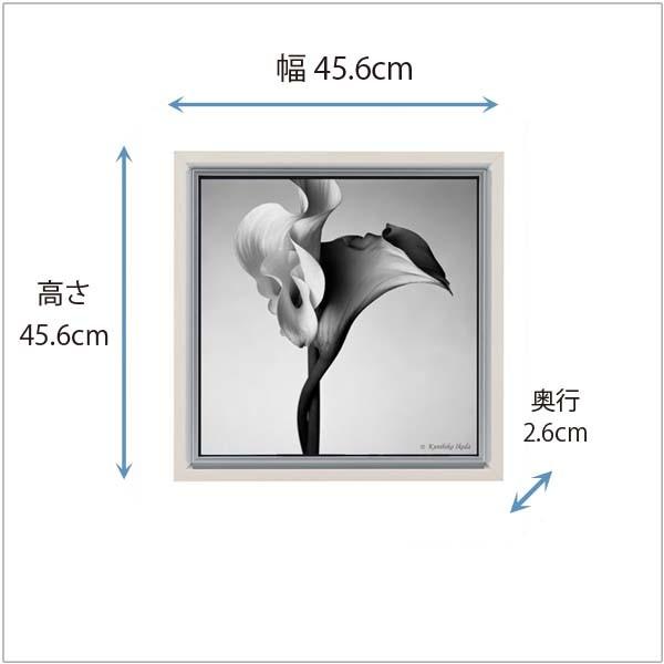 写真家 池田邦彦 スタイリッシュフラワー19 額付 フォトポスター