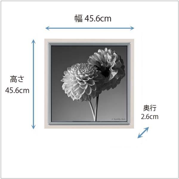 写真家 池田邦彦 スタイリッシュフラワー22 額付 フォトポスター