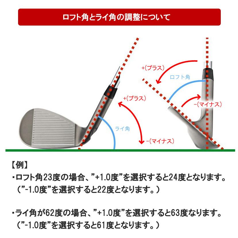 (特注 納期2-7週)テーラーメイド P790(23) アイアン単品(#3,#4,#5) ダイナミックゴールド(通常ラベル) シャフト 2023年モデル (日本正規品)｜b-kenkougolf｜08