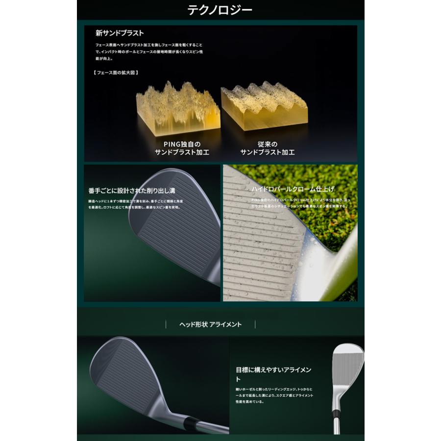 (特注 納期2-4週)ピンゴルフ S259 ウェッジ クローム RAUNE(i60/i75/i90/i105) シャフト 2026年モデル (日本正規品)
