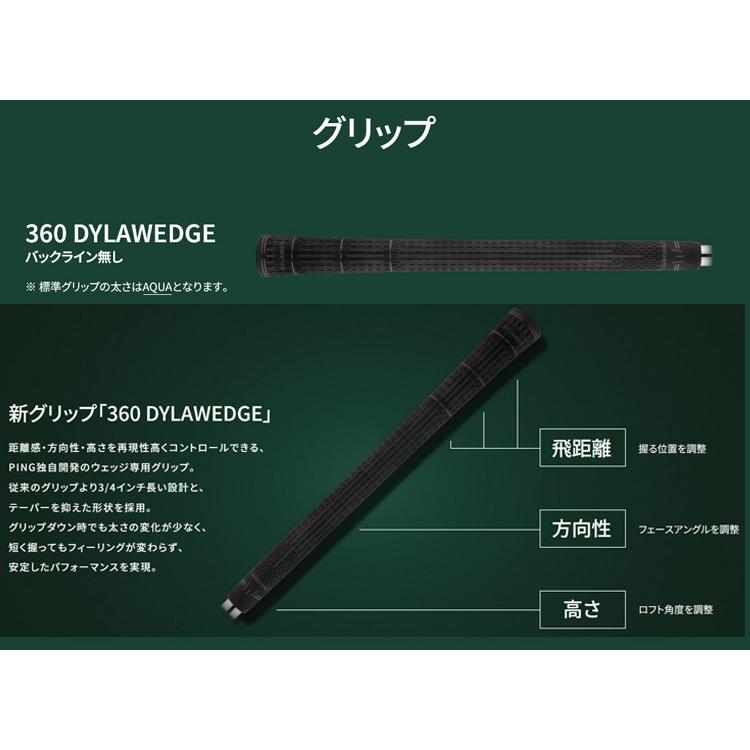 (特注 納期2-4週)ピンゴルフ S259 ウェッジ クローム RAUNE(i60/i75/i90/i105) シャフト 2026年モデル (日本正規品)