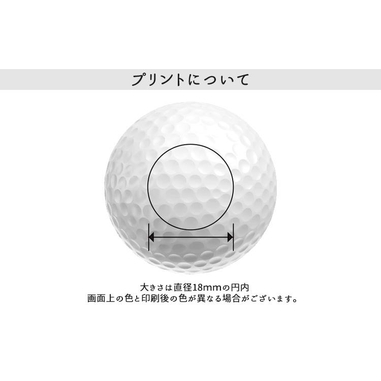 【オリジナルプリントゴルフボール(納期2-4日)】テーラーメイド TP5 ストライプ 1ダース(12球) 2024年モデル 干支 プリント[オウンネーム(マーク)] | TP5 | 02