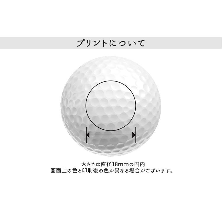 【オリジナルオウンネームプリント(納期5-7日)】タイトリスト PROV1 ゴルフボール 1ダース(12球入り) 2023年モデル 名入れプリント｜b-kenkougolf｜06