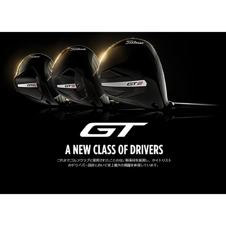 GT2 ドライバー 10度 DENALI シャフト タイトリスト タイトリスト（TITLEIST）（メンズ）GT2 ドライバー(1W、ロフト