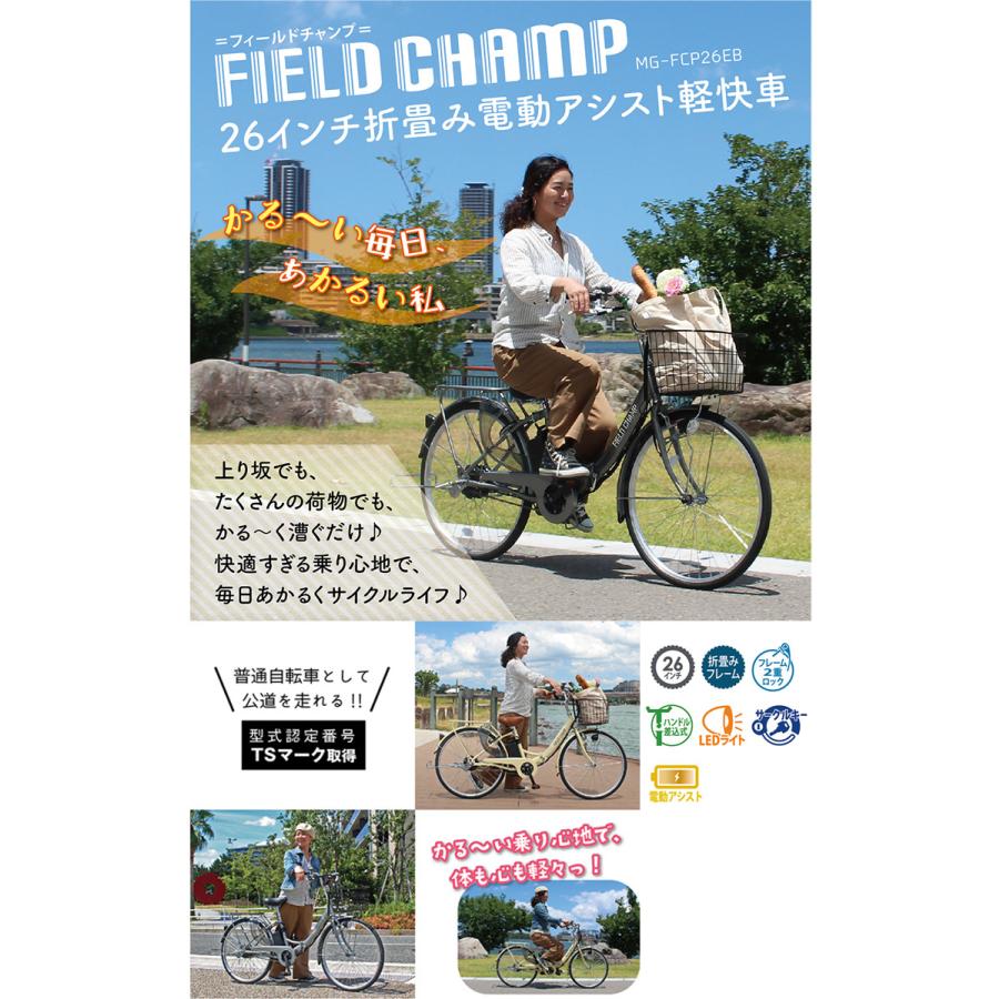 フィールドチャンプ 16型折りたたみ自転車 型式