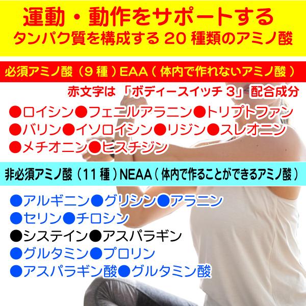 1000円ポッキリ送料無料 ボディースイッチ3 お試しサイズ30粒 アミノ酸 サプリ bcaa サプリ ロイシン バリン イソロイシン グルタミン ジンセノサイド｜b-koshin｜03