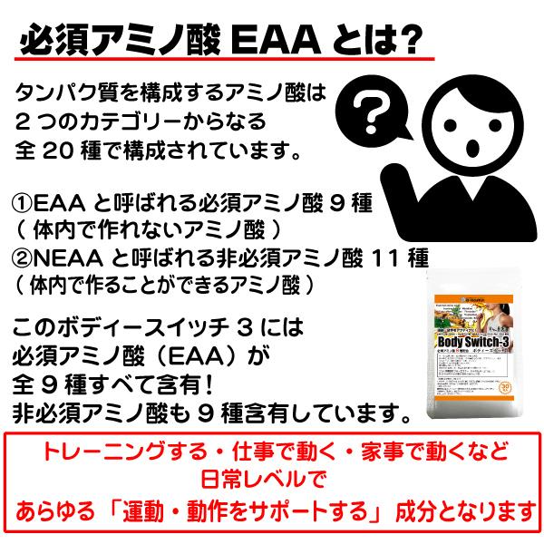 1000円ポッキリ送料無料 ボディースイッチ3 お試しサイズ30粒 アミノ酸 サプリ bcaa サプリ ロイシン バリン イソロイシン グルタミン ジンセノサイド｜b-koshin｜04