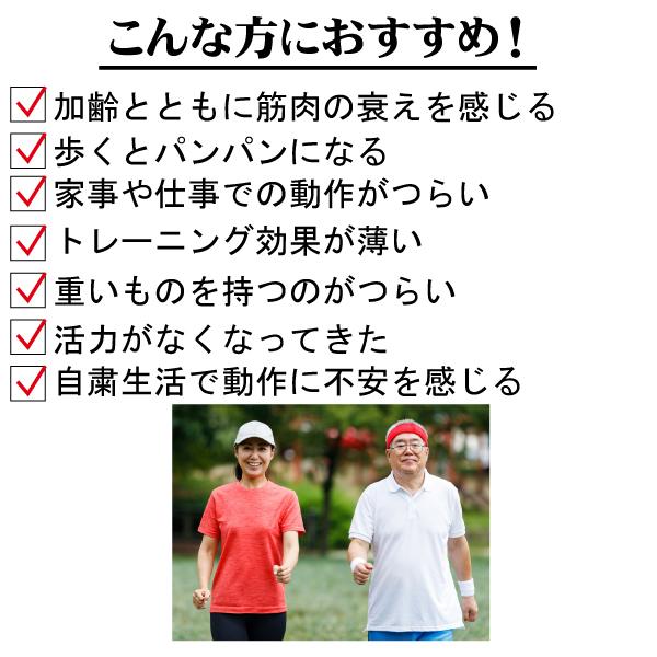 1000円ポッキリ送料無料 ボディースイッチ3 お試しサイズ30粒 アミノ酸 サプリ bcaa サプリ ロイシン バリン イソロイシン グルタミン ジンセノサイド｜b-koshin｜07