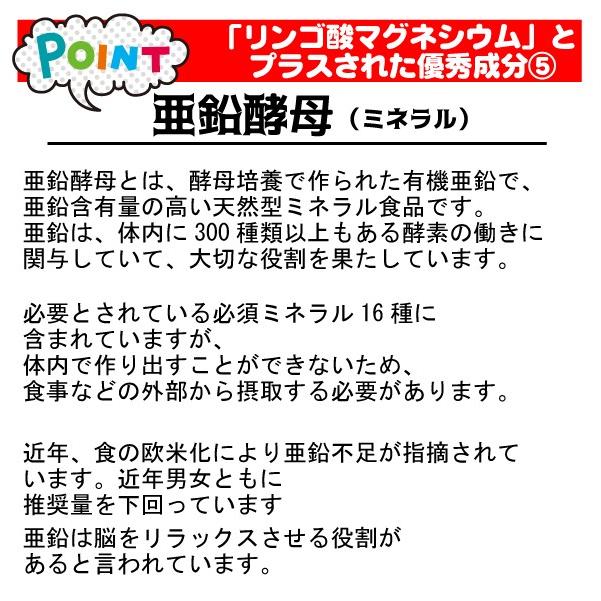 いびき対策★ いびきっく テアニン サプリ リンゴ酸 マグネシウム いびき ケア お試し 40粒入 ポイント消化 送料無料｜b-koshin｜07