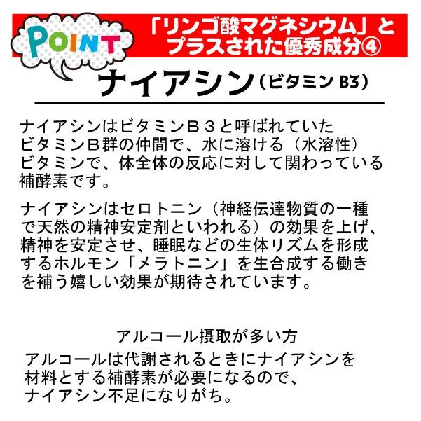 クーポンでお得！ いびきっく テアニン サプリ リンゴ酸 マグネシウム 快眠グッズ 40粒入3袋セット 送料無料｜b-koshin｜05